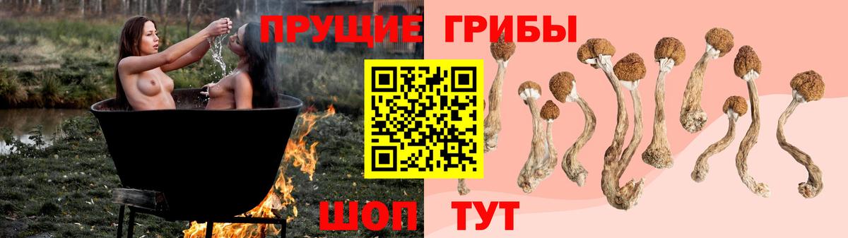 Шебекино  Псилоцибиновые грибы мухоморы  купить закладку  Вход с VPN 
